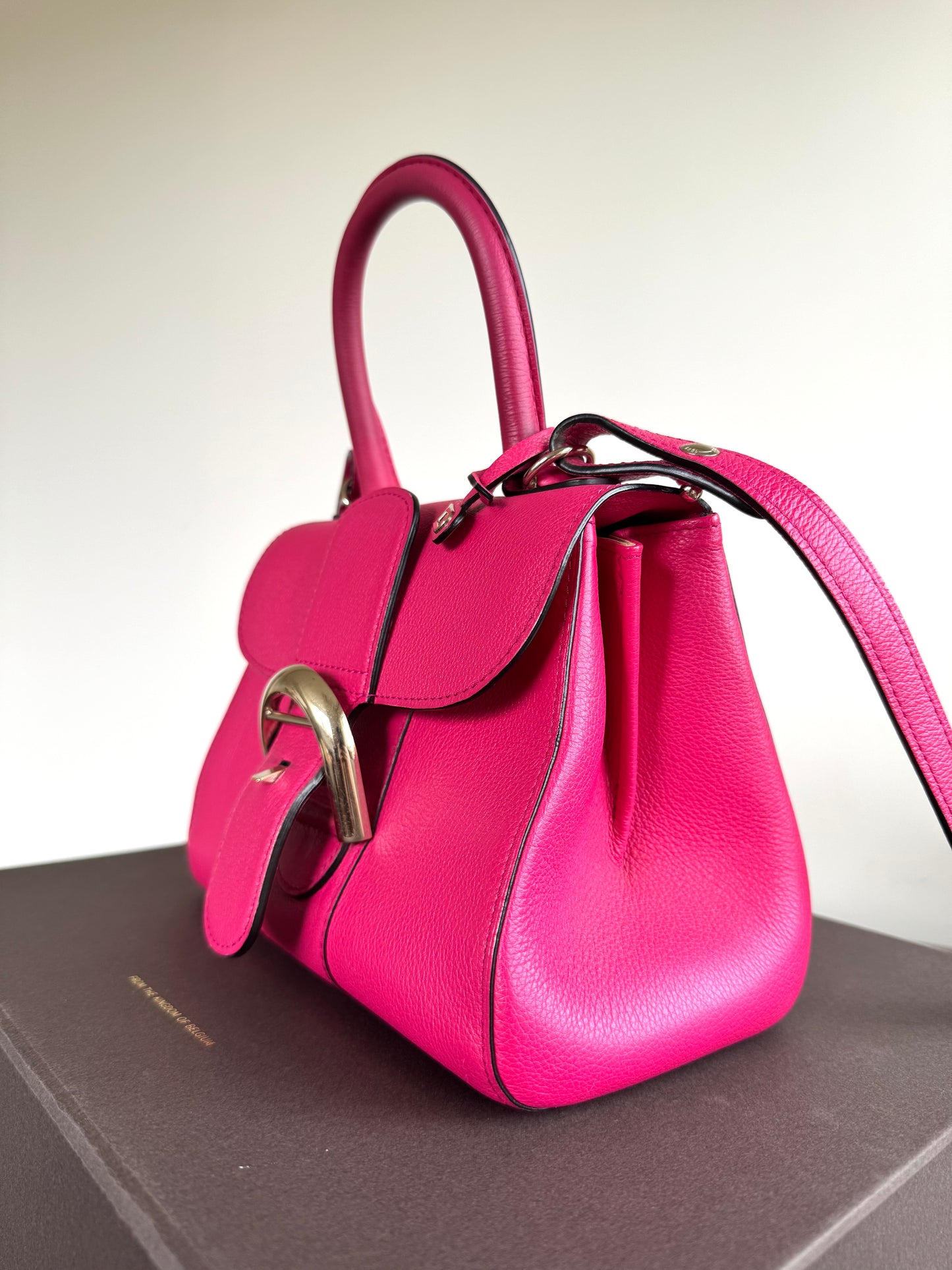 Pre-owned Delvaux Brillant Mini Indian Rose Leather Bag