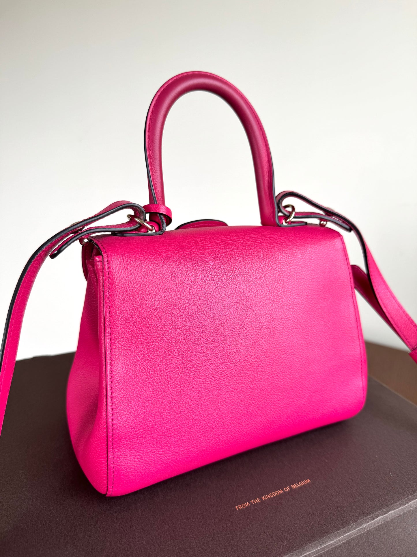 Pre-owned Delvaux Brillant Mini Indian Rose Leather Bag