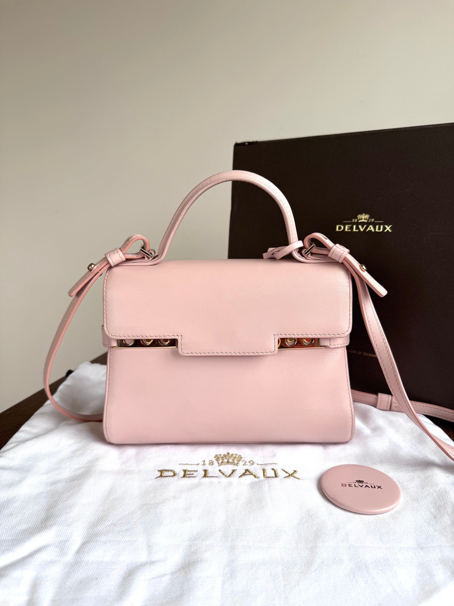 Pre-owned Delvaux Tempête PM Nude Rose Calfskin Bag