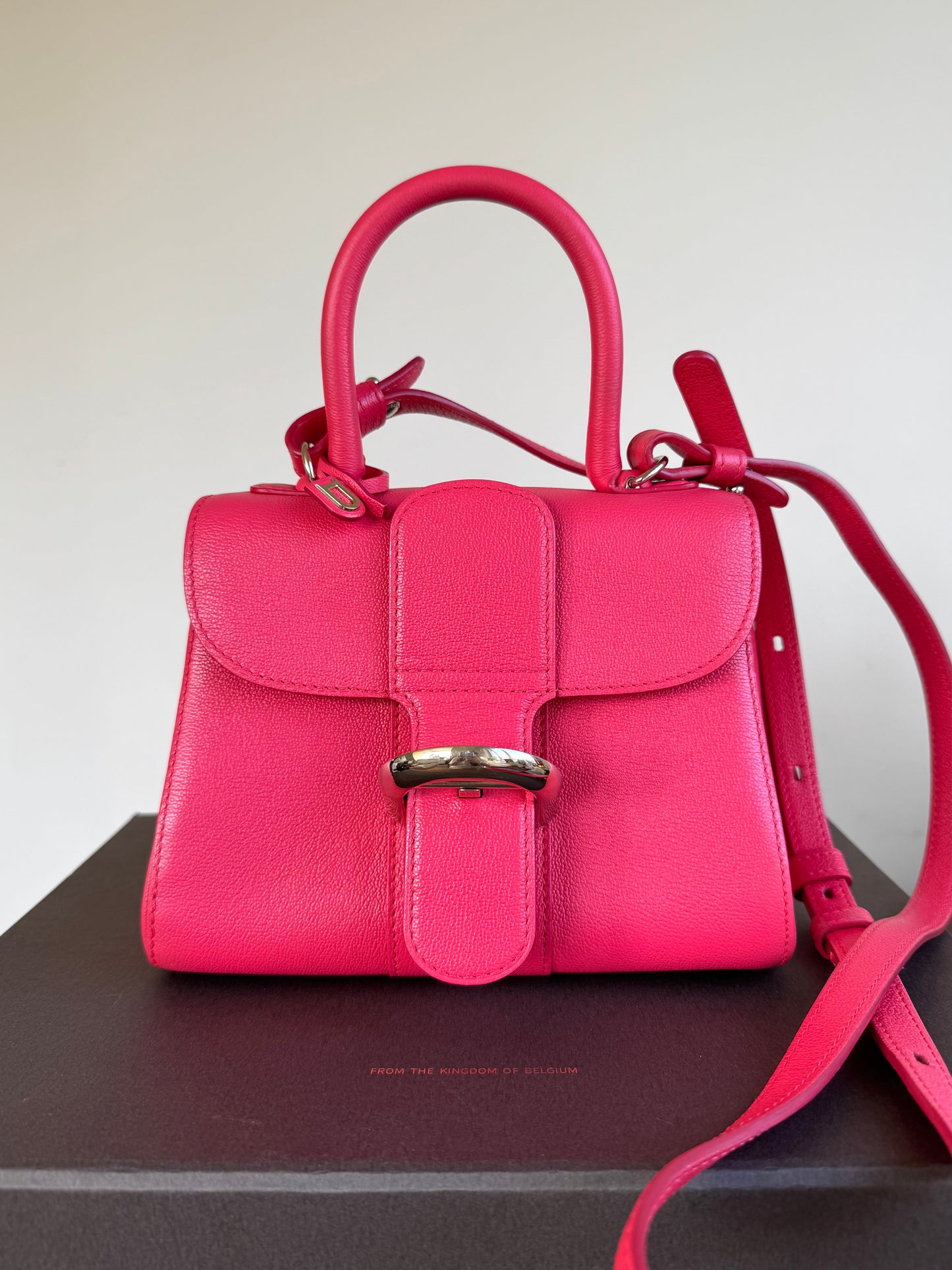 Pre-owned Delvaux Brillant Mini Pink Leather Bag
