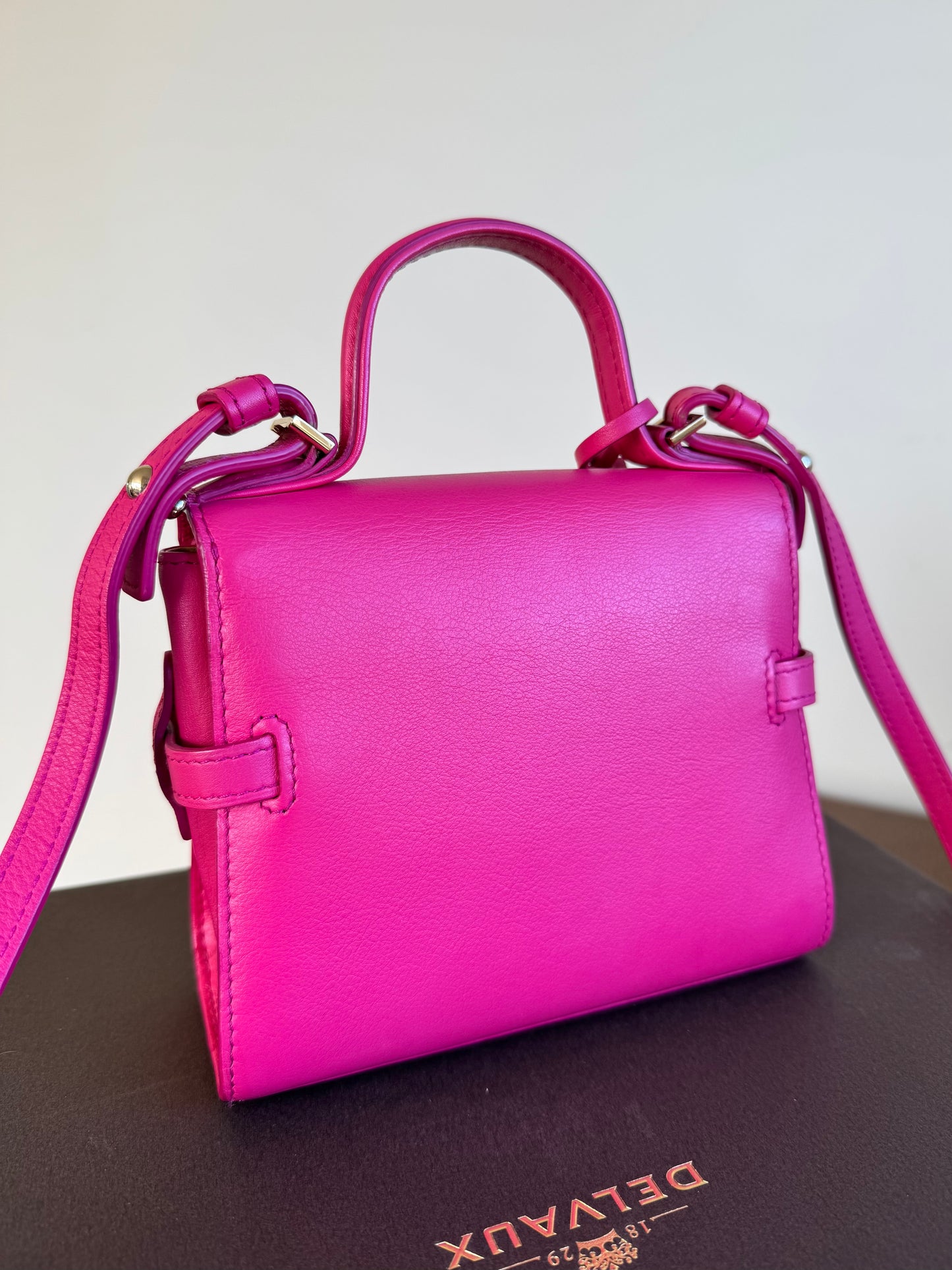 Pre-owned Delvaux Tempête Micro Pink Calfskin Bag