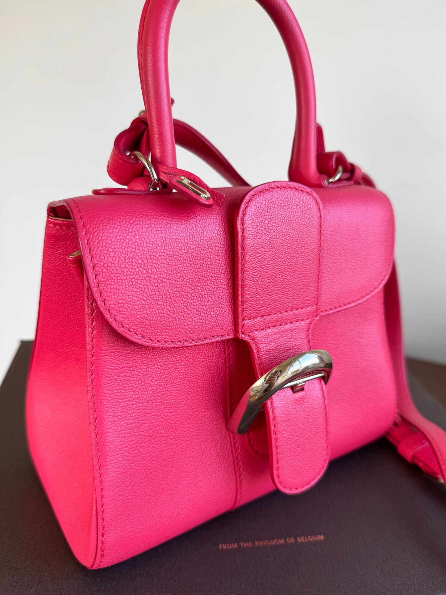 Pre-owned Delvaux Brillant Mini Pink Leather Bag