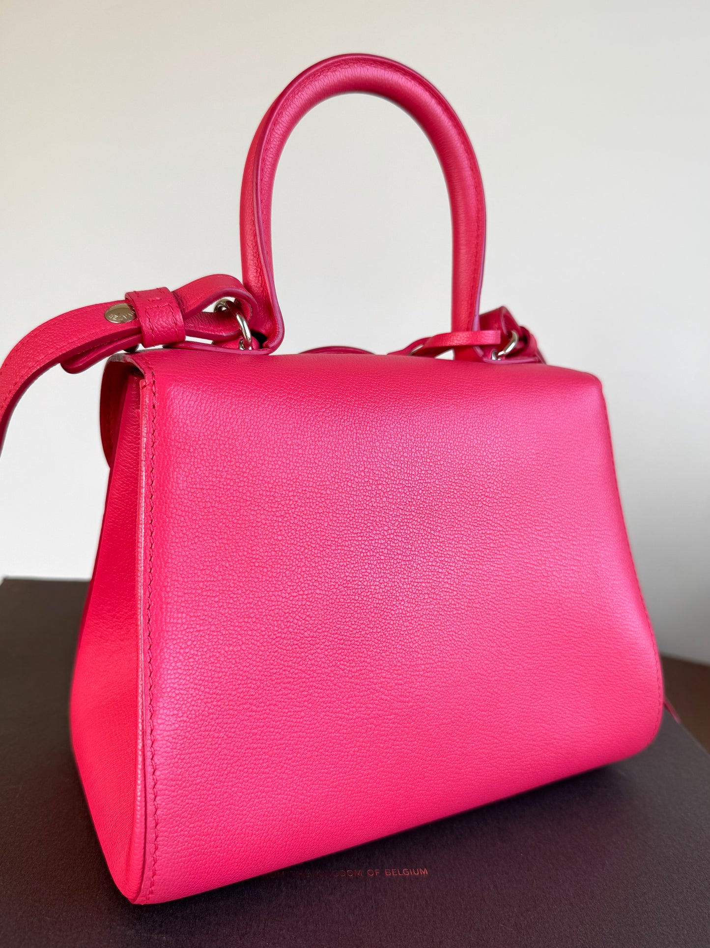Pre-owned Delvaux Brillant Mini Pink Leather Bag