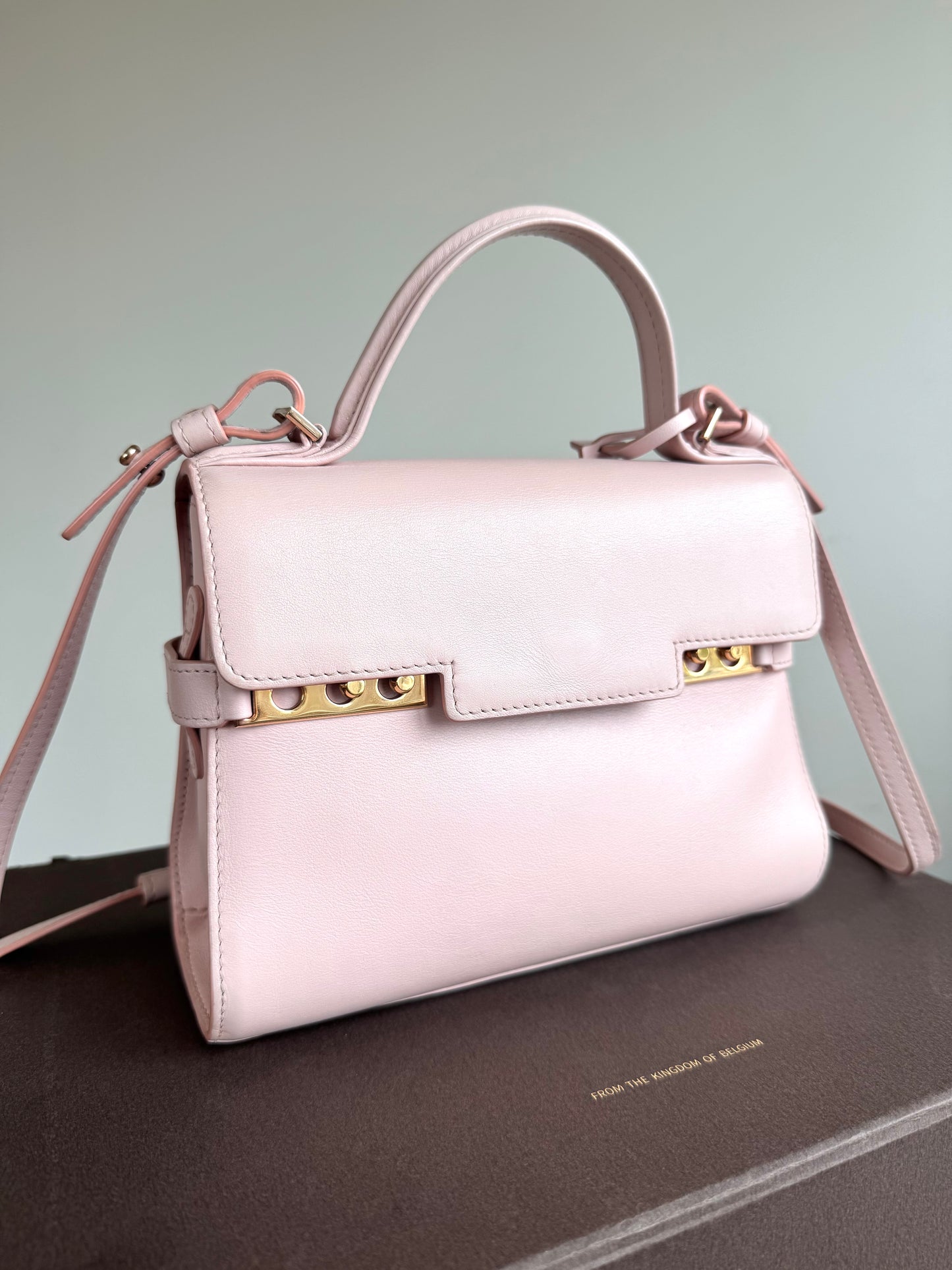 Pre-owned Delvaux Tempête PM Nude Rose Calfskin Bag