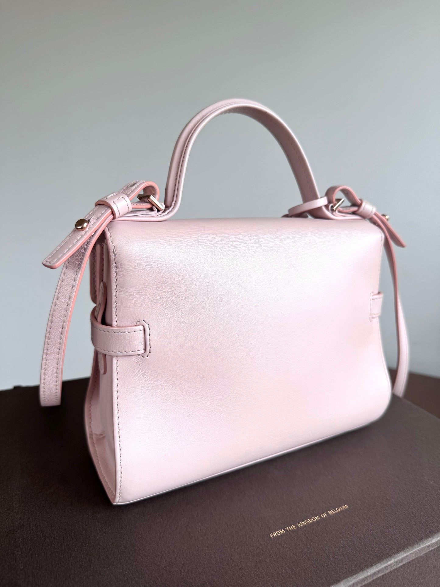 Pre-owned Delvaux Tempête PM Nude Rose Calfskin Bag