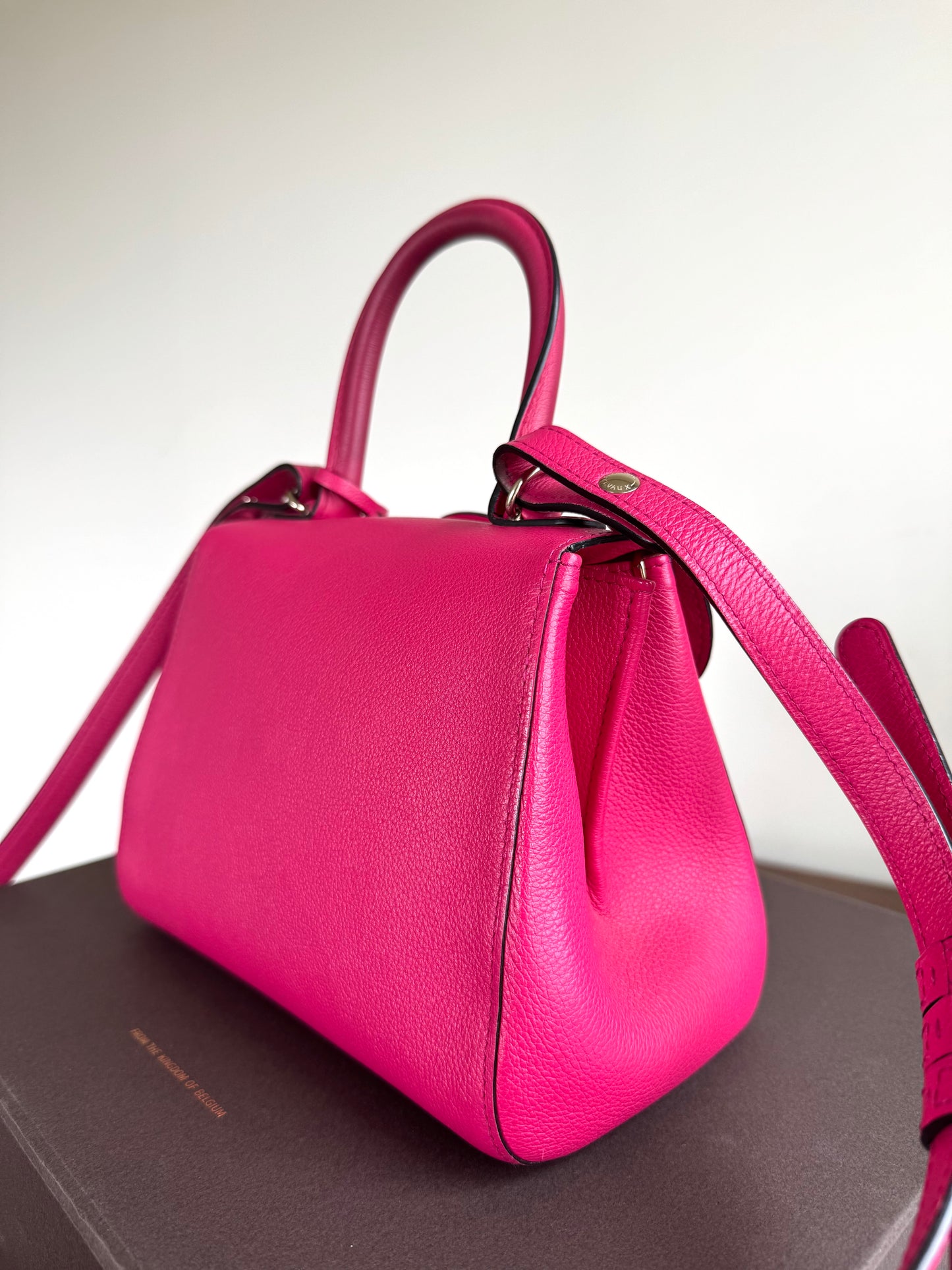Pre-owned Delvaux Brillant Mini Indian Rose Leather Bag