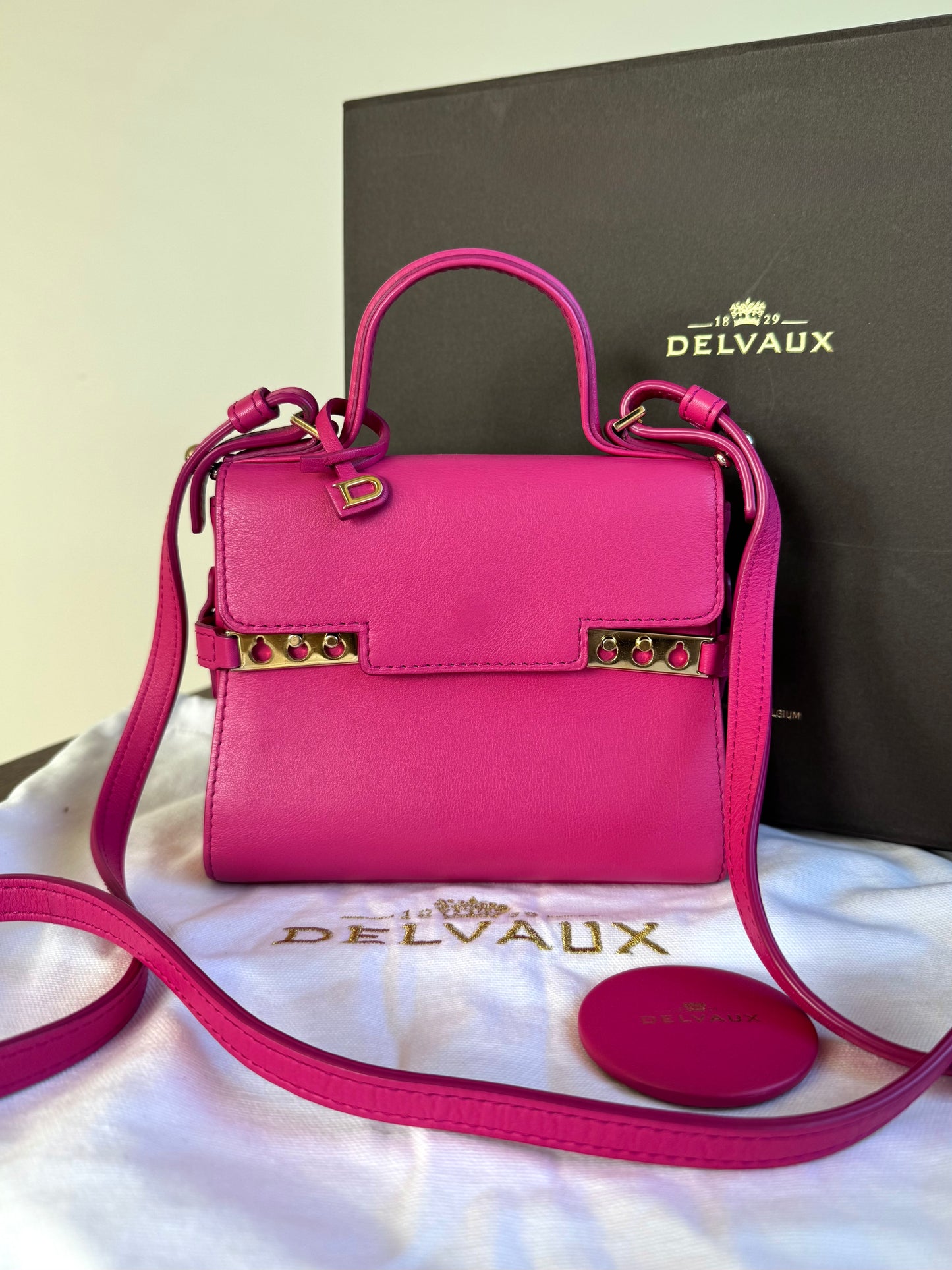 Pre-owned Delvaux Tempête Micro Pink Calfskin Bag