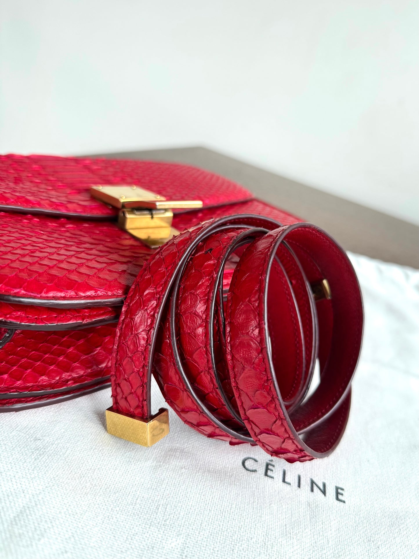 Pre-owned Céline Classic Box Medium Red Python Bag