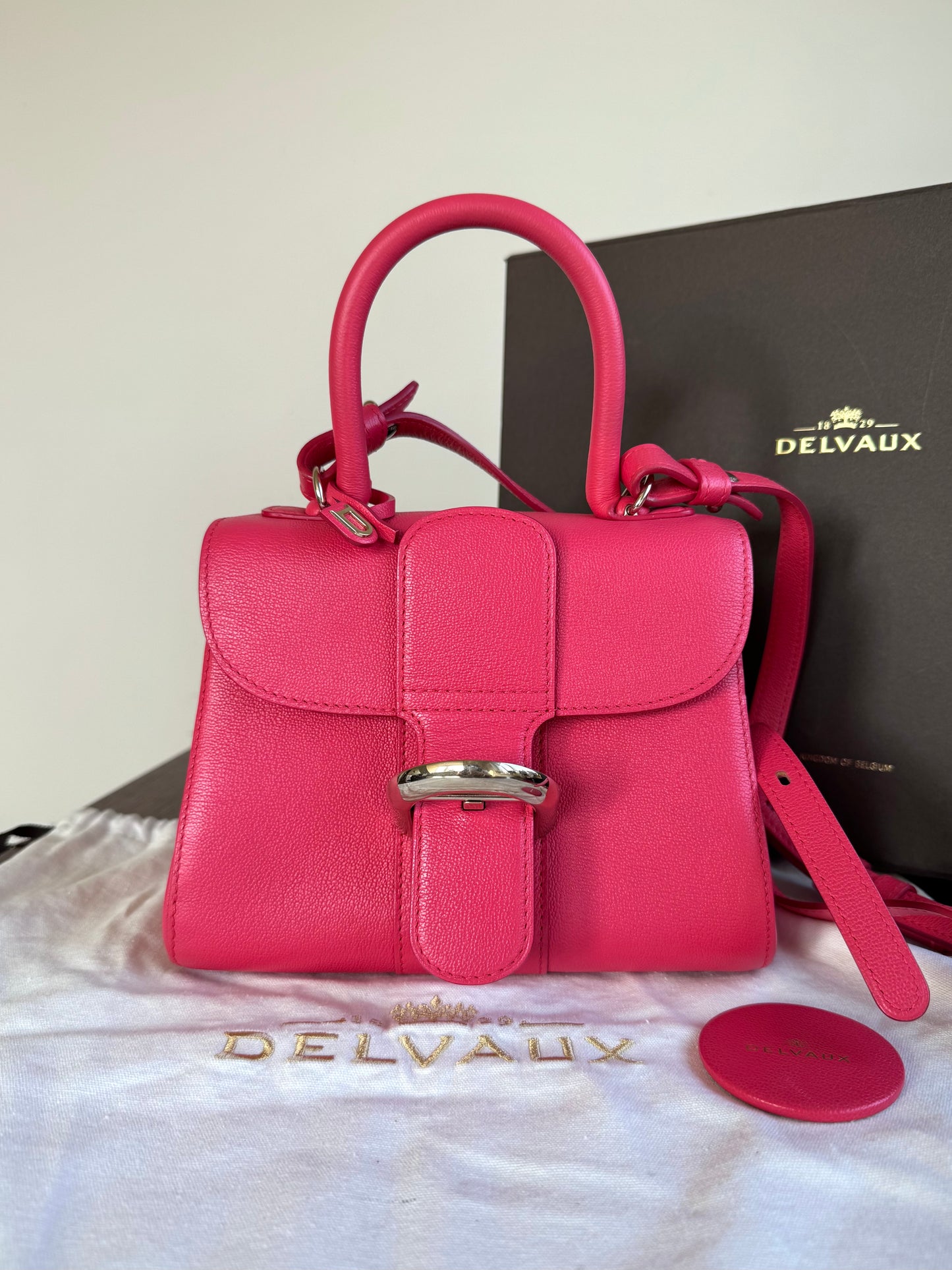 Pre-owned Delvaux Brillant Mini Pink Leather Bag