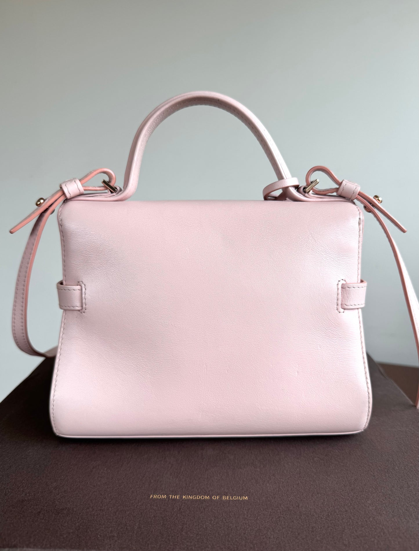 Pre-owned Delvaux Tempête PM Nude Rose Calfskin Bag