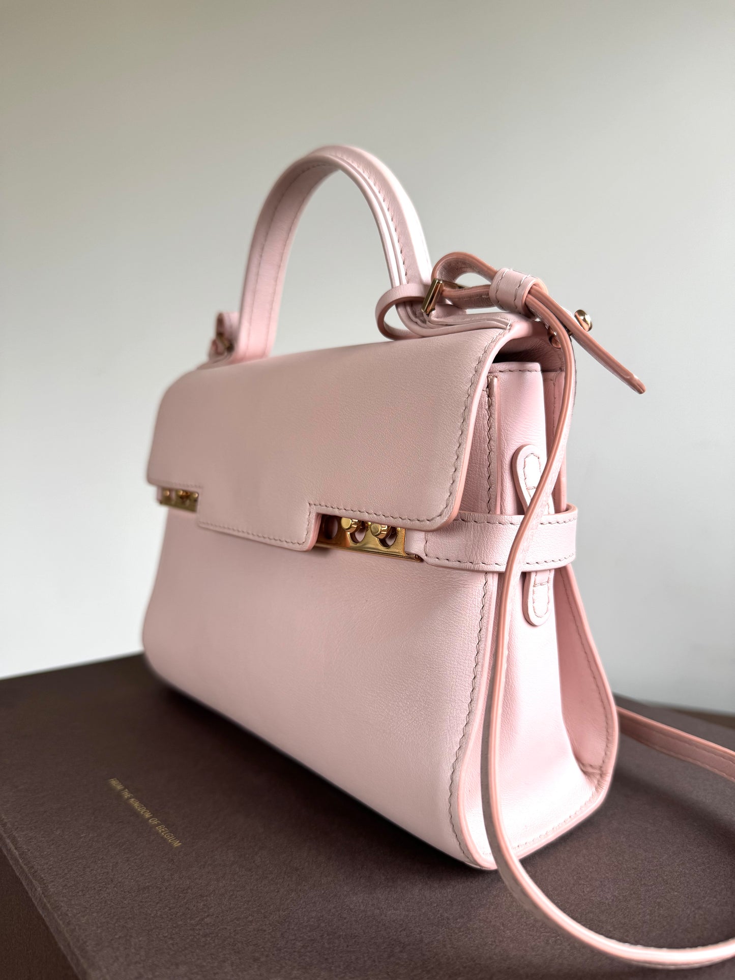 Pre-owned Delvaux Tempête PM Nude Rose Calfskin Bag
