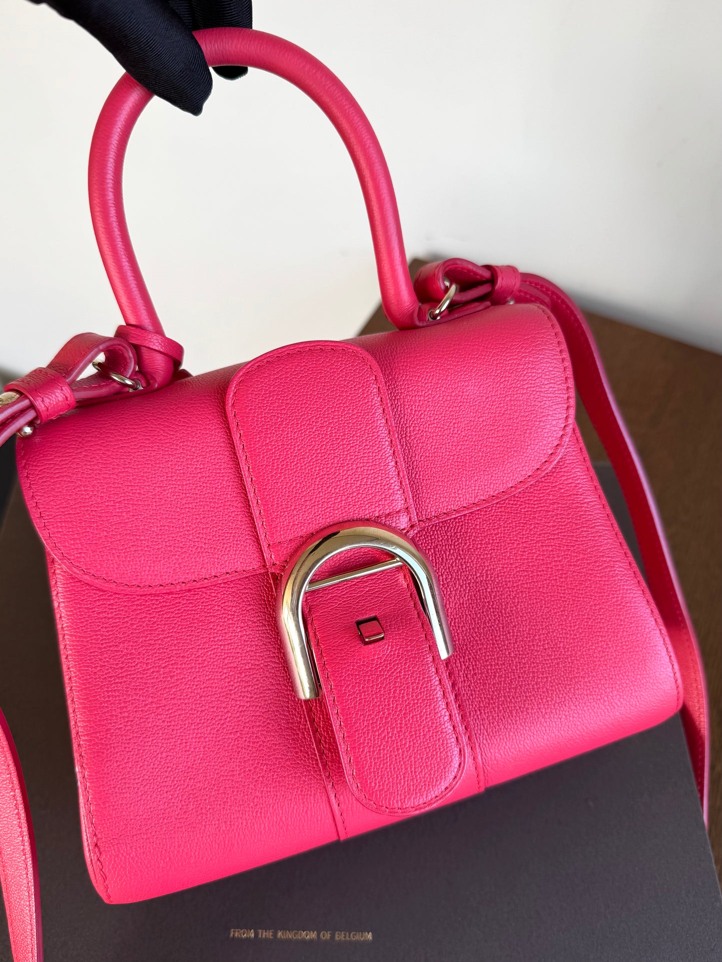 Pre-owned Delvaux Brillant Mini Pink Leather Bag