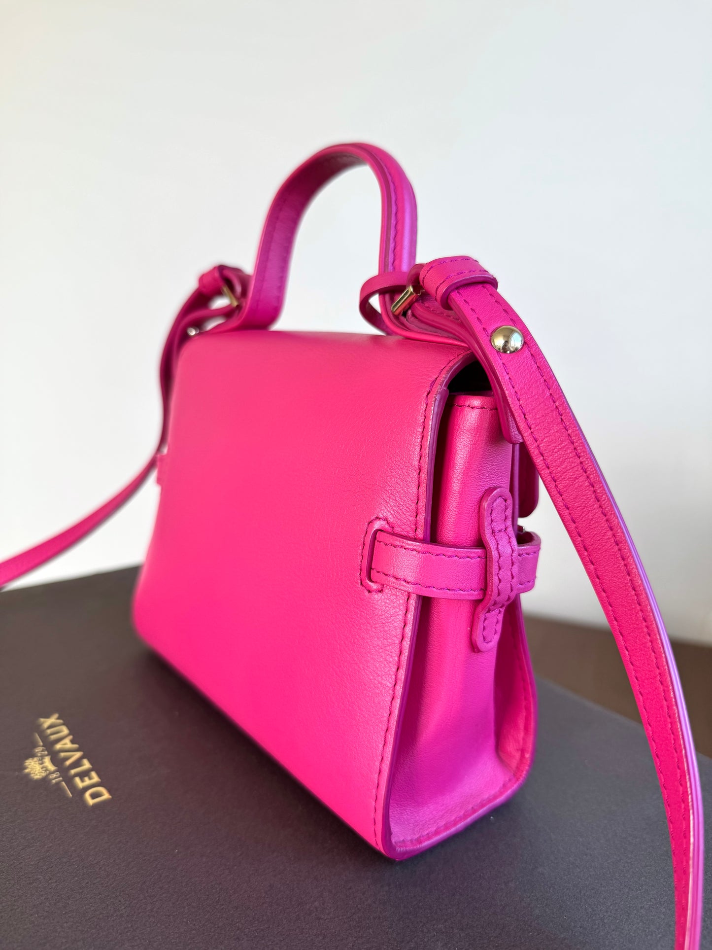 Pre-owned Delvaux Tempête Micro Pink Calfskin Bag