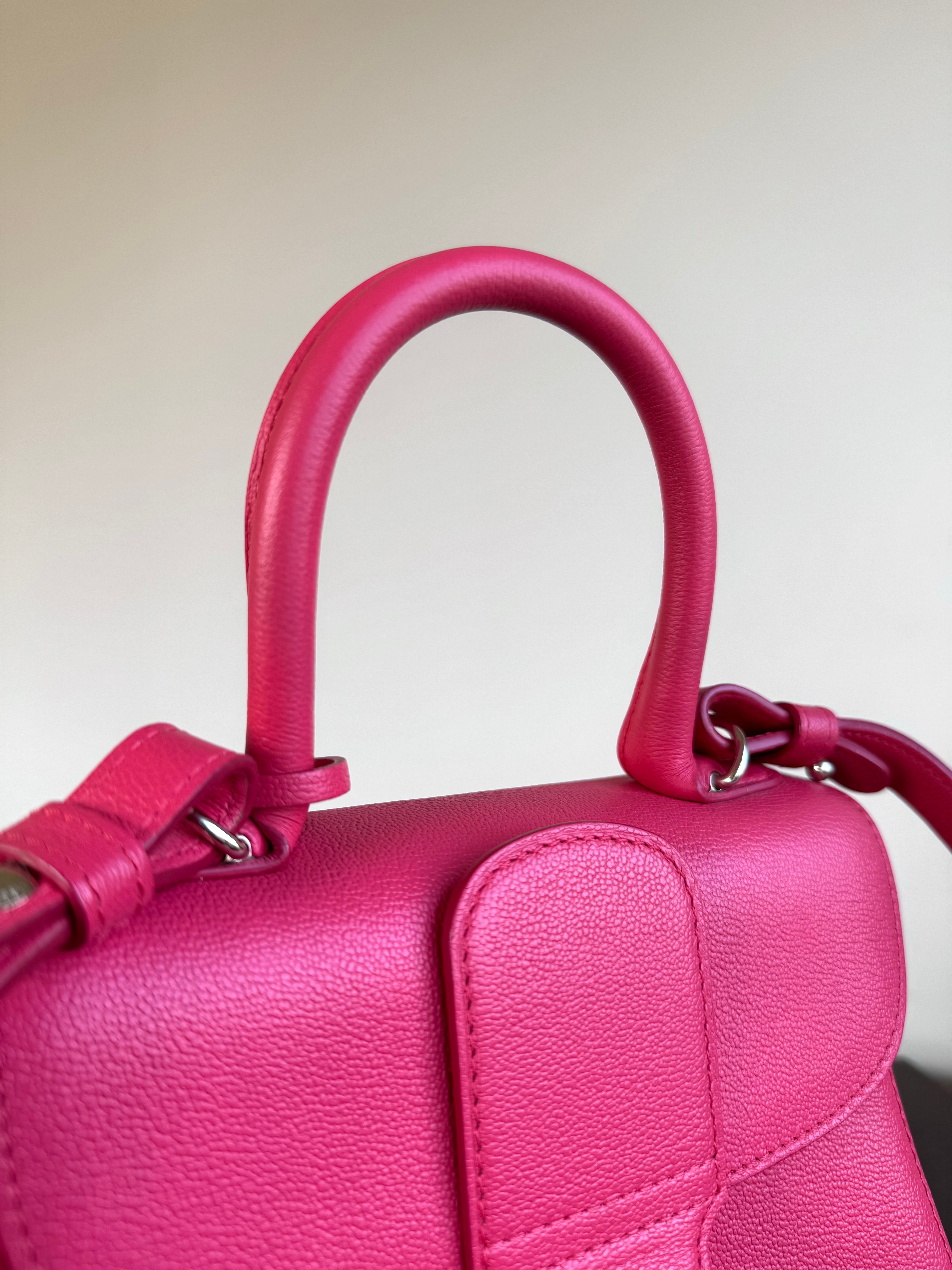 Pre-owned Delvaux Brillant Mini Pink Leather Bag – BestQmi