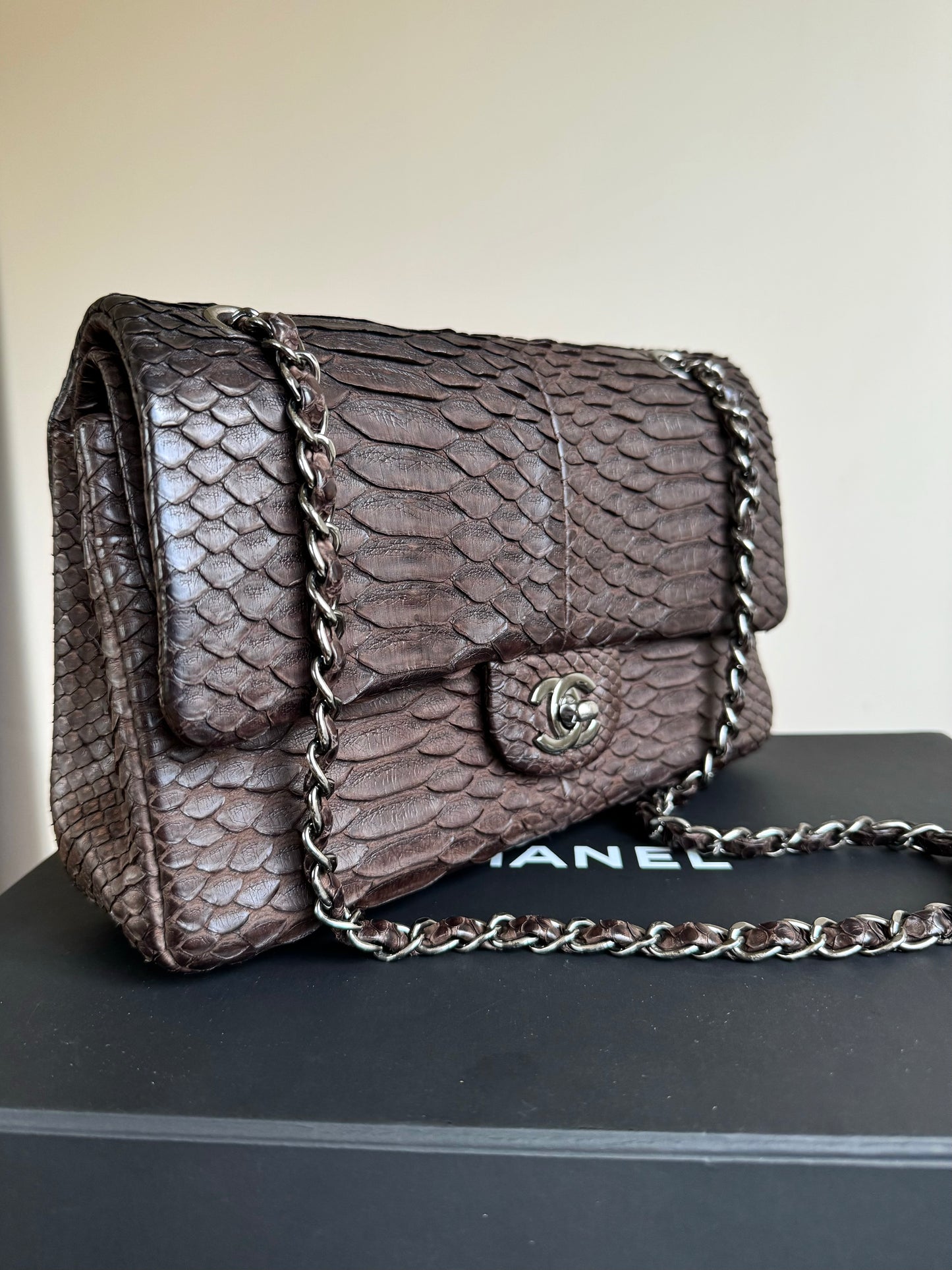 Pre-owned Chanel Timeless Classic Standard Python Flap Bag