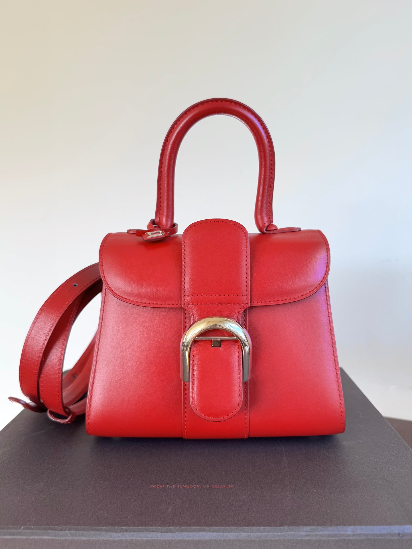 Pre-owned Delvaux Brillant Mini Red Box Calf Bag