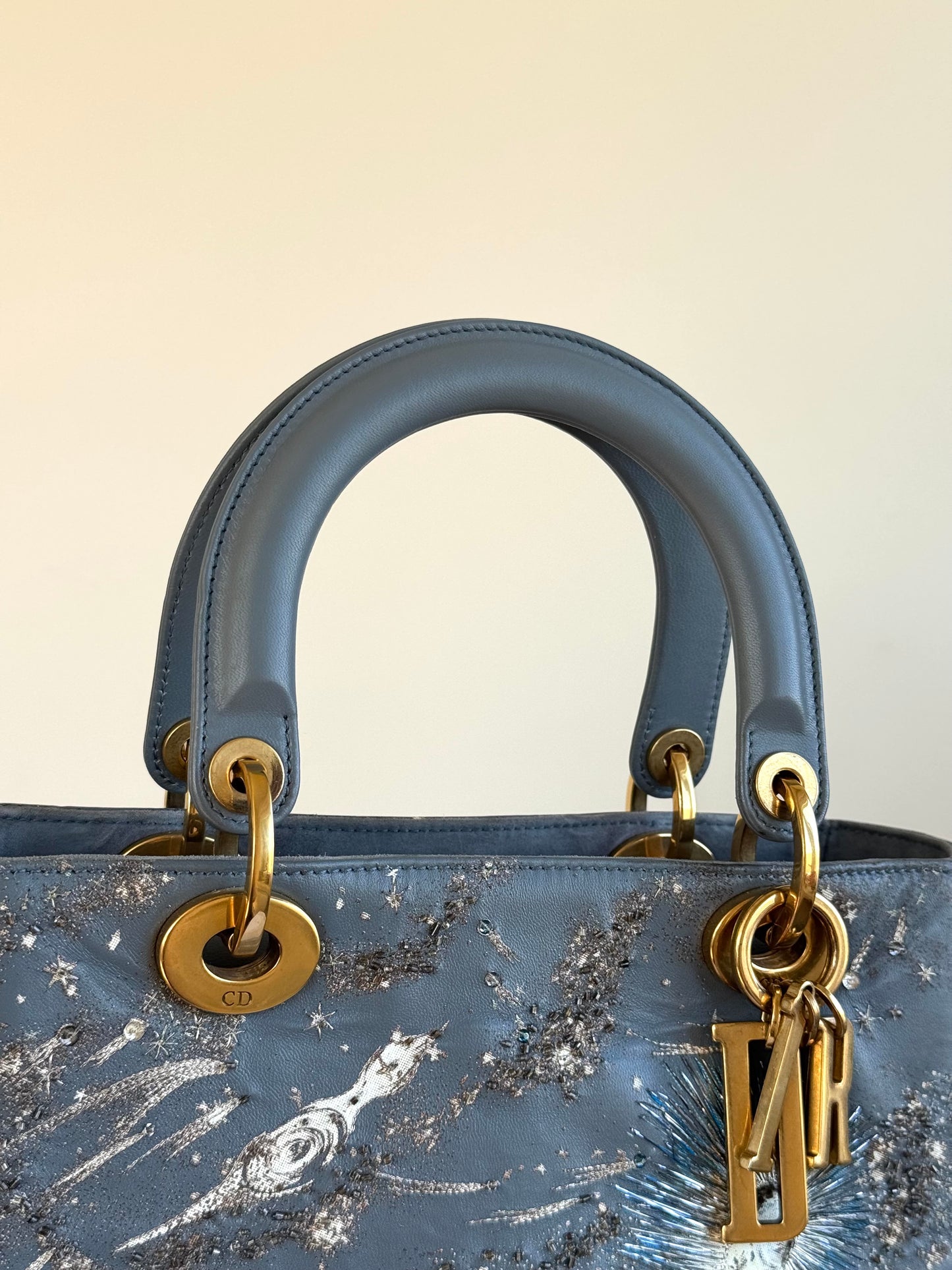 Pre-owned Dior Lady Dior Medium Grey Blue Embroidered Leather Bag