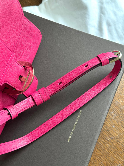 Pre-owned Delvaux Brillant Mini Indian Rose Leather Bag