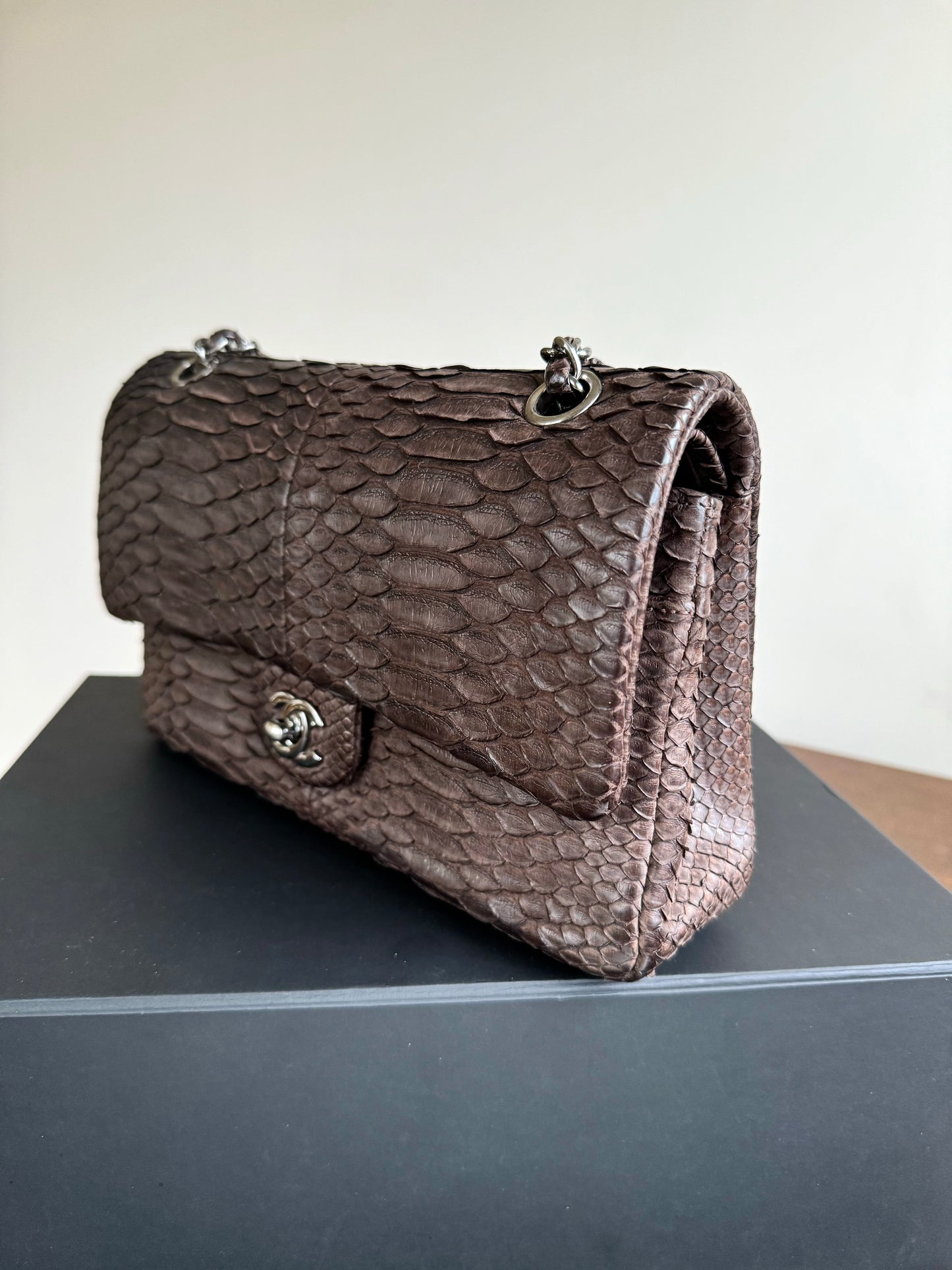 Pre-owned Chanel Timeless Classic Standard Python Flap Bag