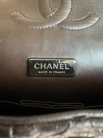 Pre-owned Chanel Timeless Classic Standard Python Flap Bag