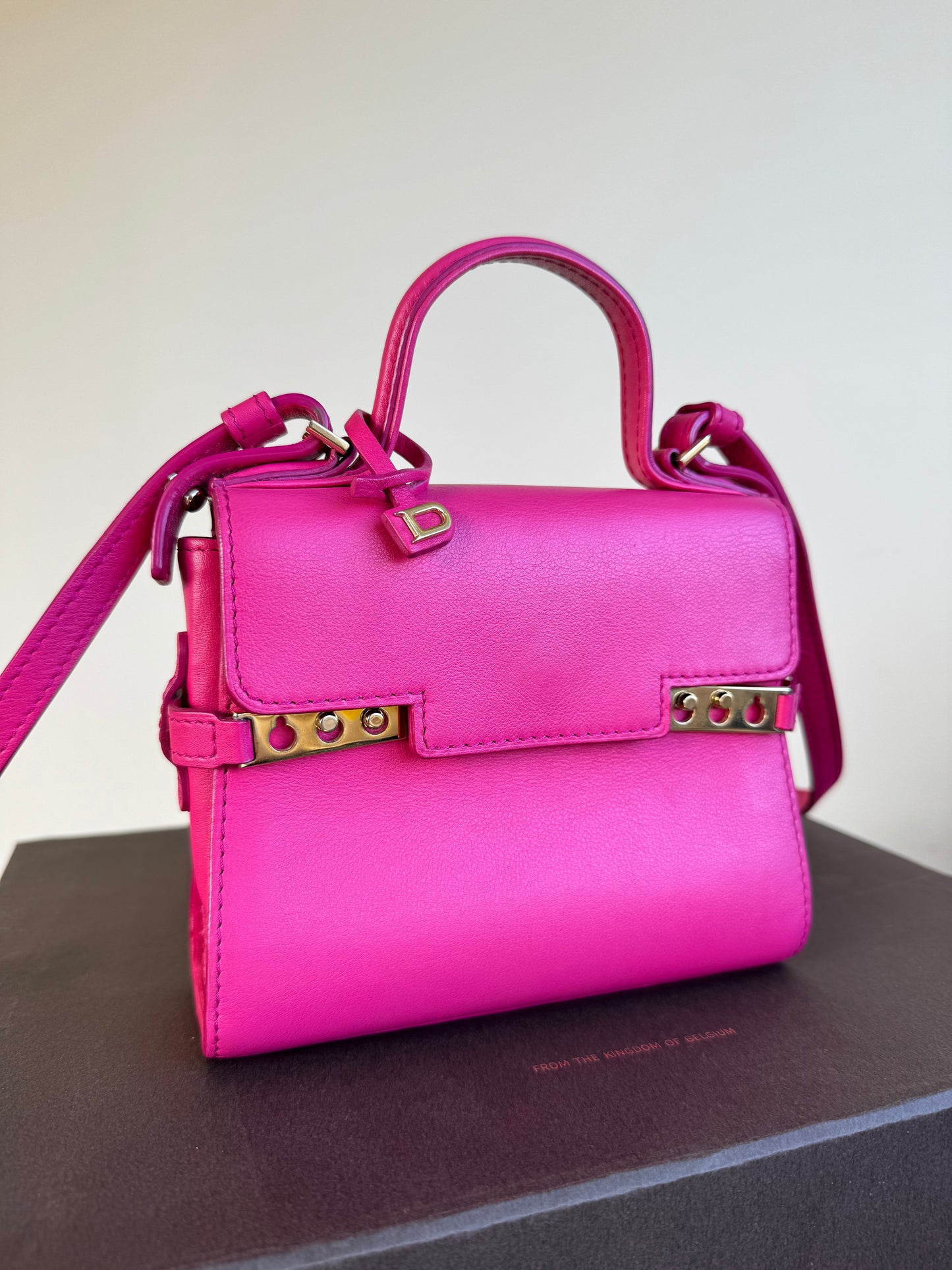 Pre-owned Delvaux Tempête Micro Pink Calfskin Bag
