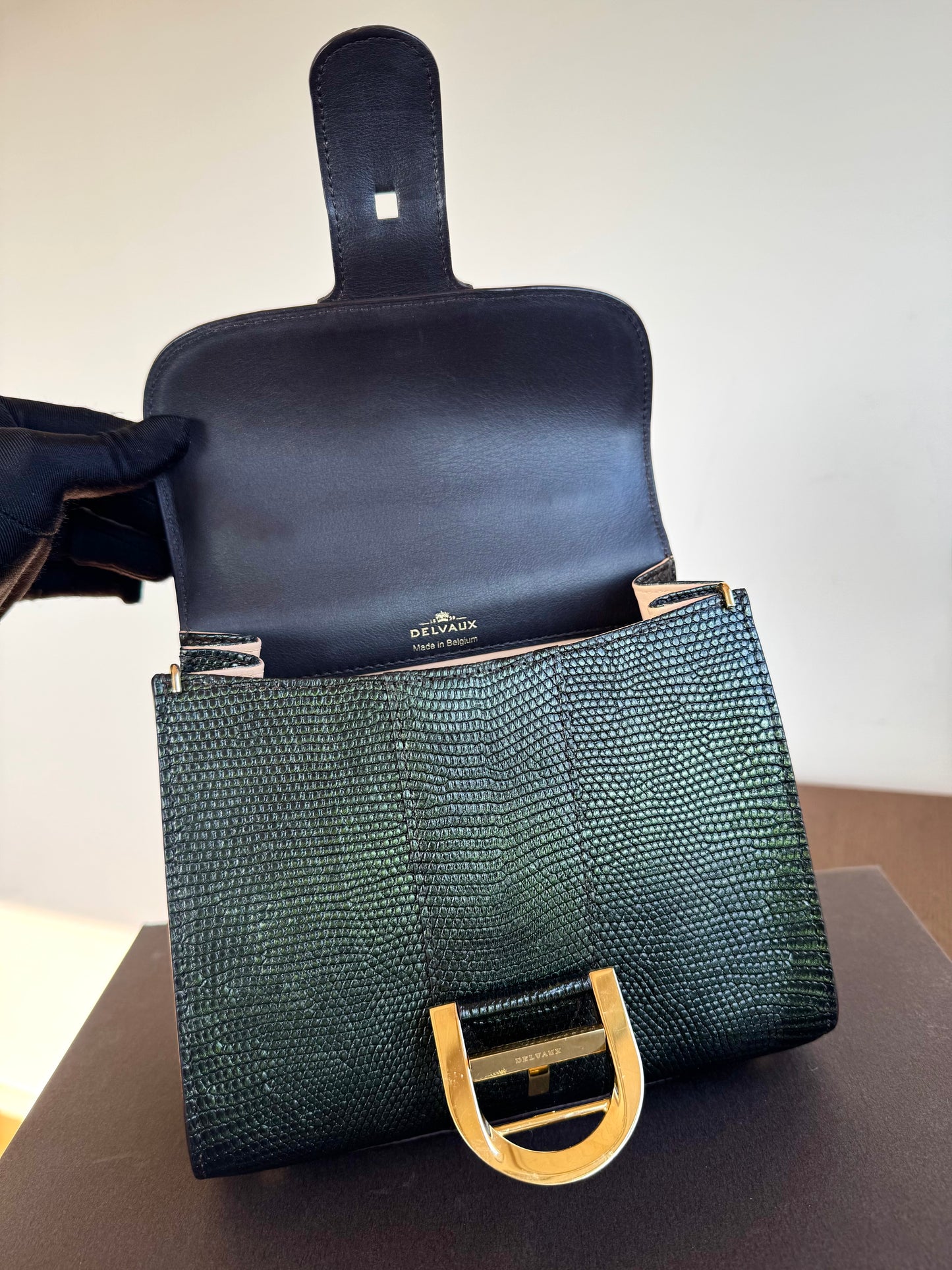 Pre-owned Delvaux Brillant Mini Metallic Dark Green Lizard Bag