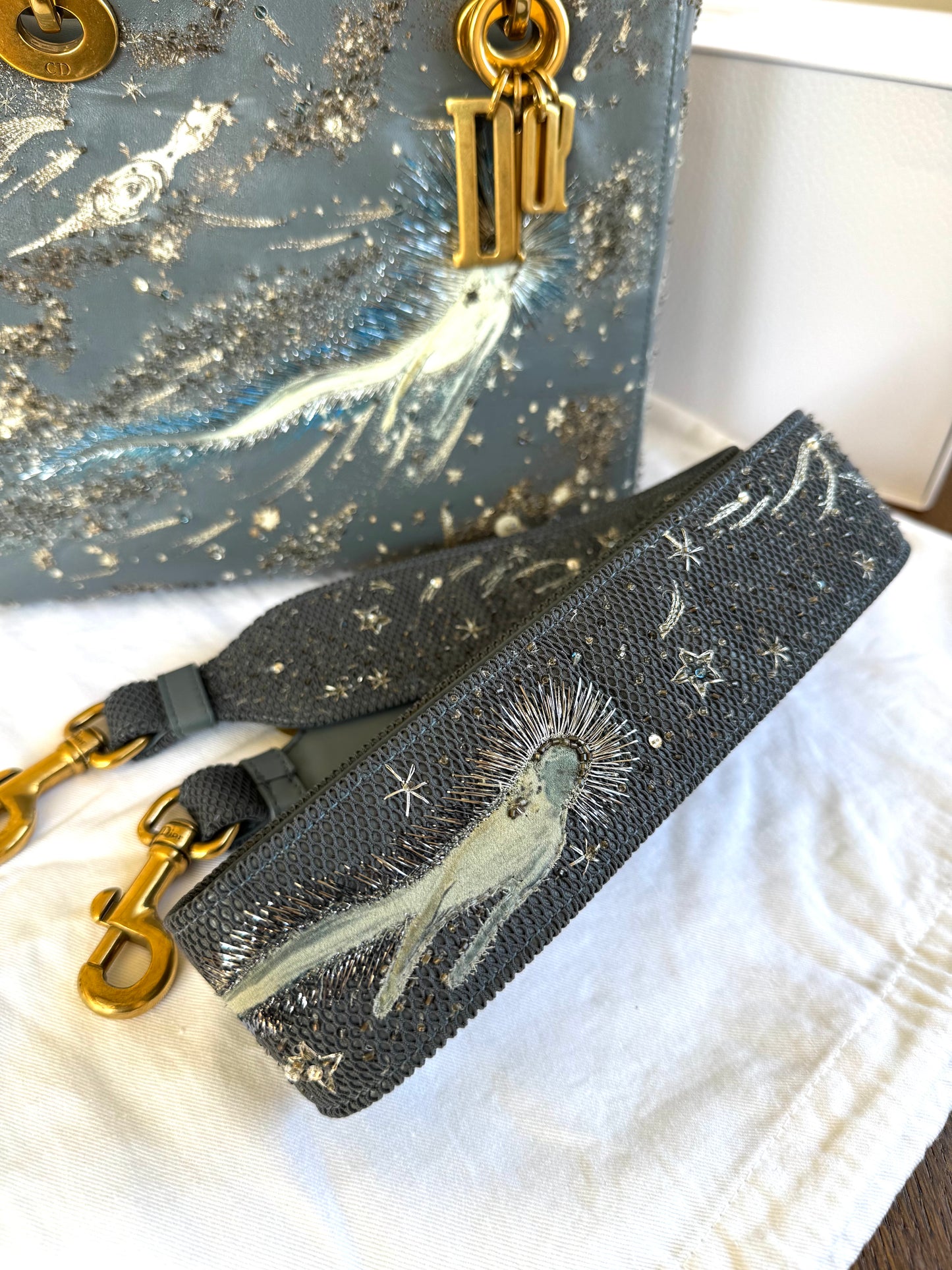 Pre-owned Dior Lady Dior Medium Grey Blue Embroidered Leather Bag