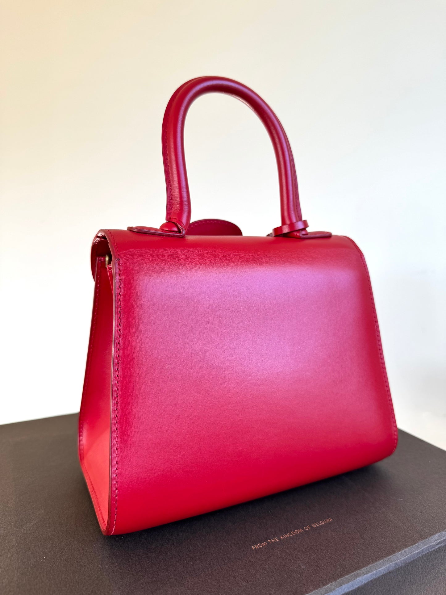 Pre-owned Delvaux Brillant Mini Red Box Calf Bag