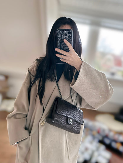 Pre-owned Chanel Timeless Classic Standard Python Flap Bag