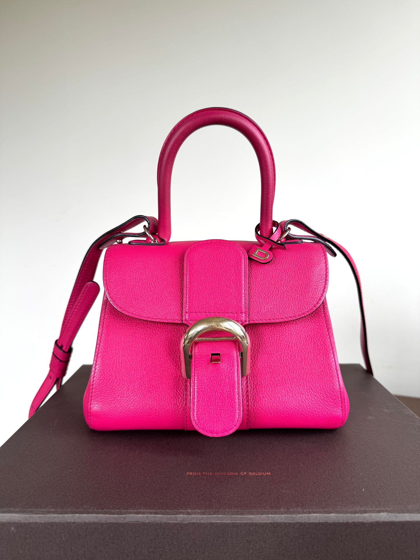 Pre-owned Delvaux Brillant Mini Indian Rose Leather Bag