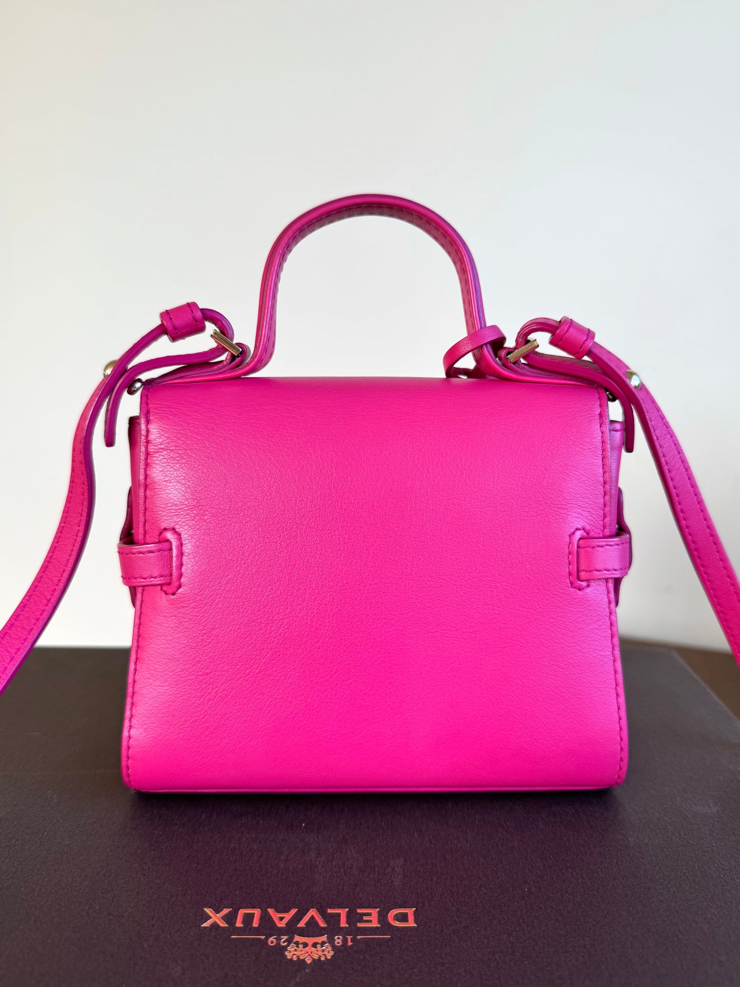 Pre-owned Delvaux Tempête Micro Pink Calfskin Bag