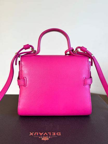 Pre-owned Delvaux Tempête Micro Pink Calfskin Bag