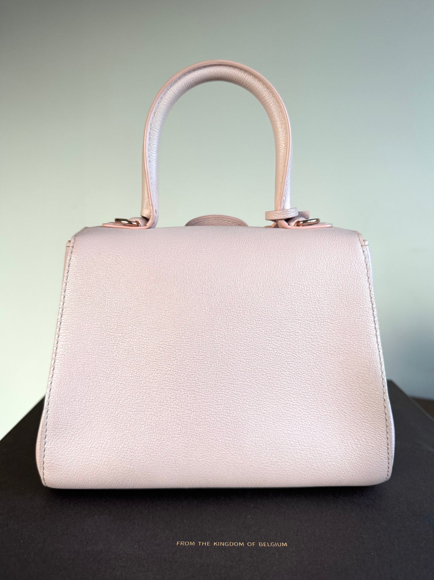 Pre-owned Delvaux Brillant Mini Light Rose Calfskin Bag