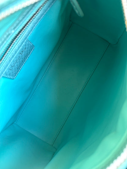 Pre-owned Dior Lady Dior Medium Tiffany Blue Python Bag