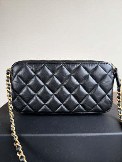 Pre-owned Chanel 2.55 Chain Wallet Lucky Charms Clutch Bag