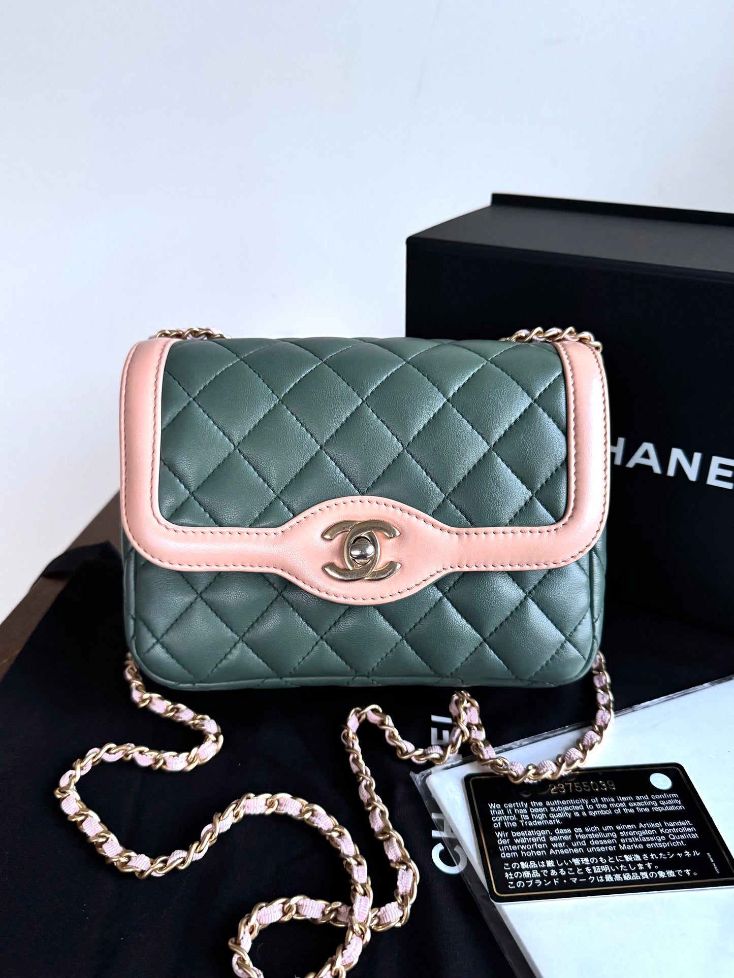 Pre-owned Chanel Diana Mini Bi-color Green Pink Leather Flap Bag