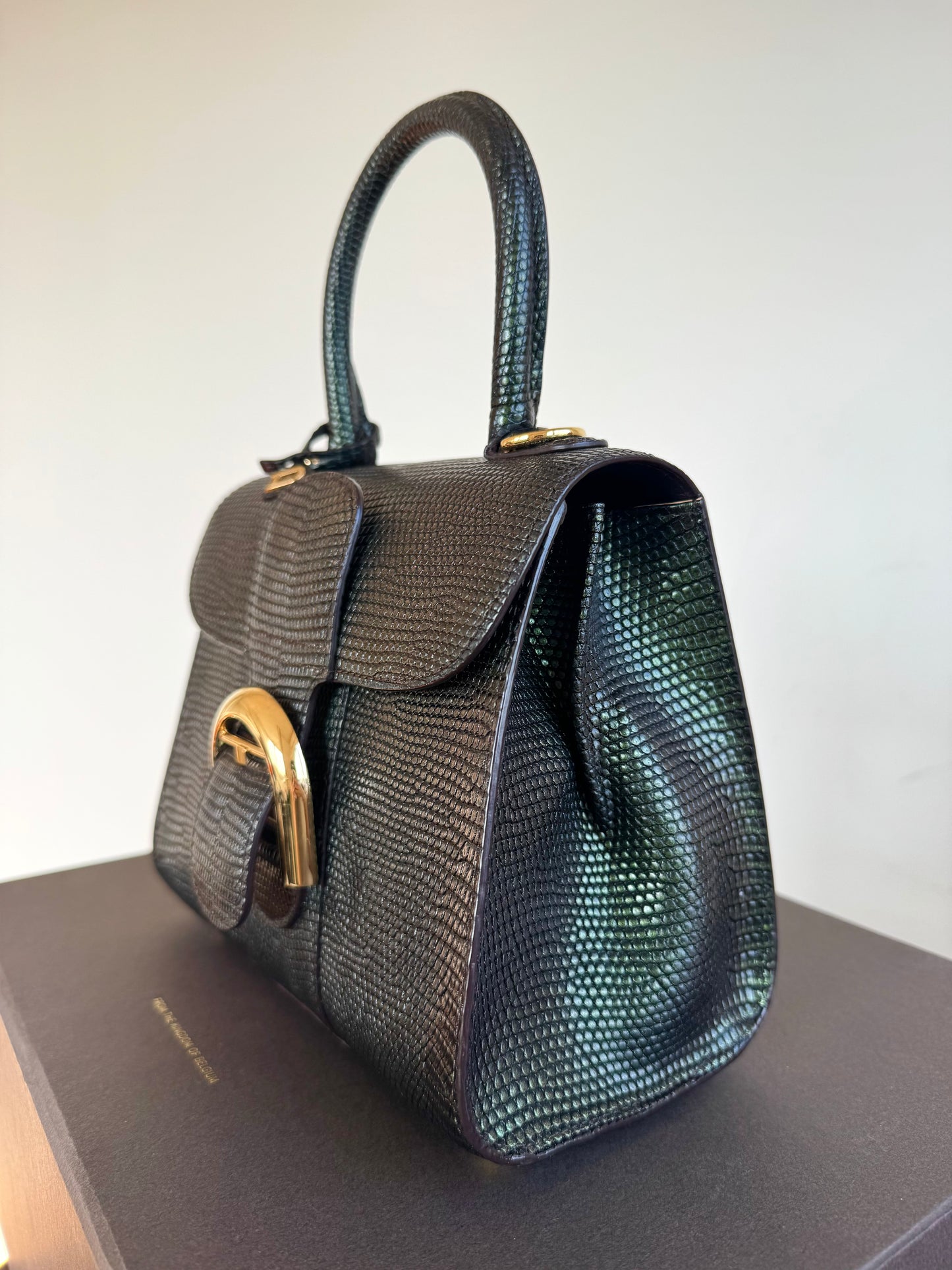 Pre-owned Delvaux Brillant Mini Metallic Dark Green Lizard Bag
