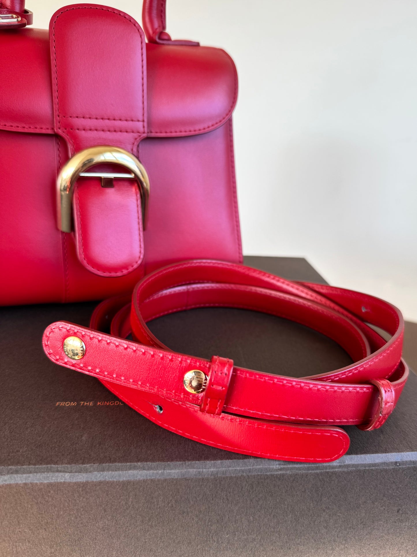 Pre-owned Delvaux Brillant Mini Red Box Calf Bag