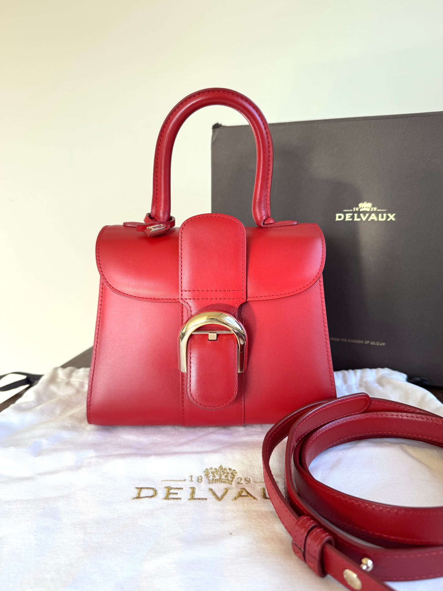 Pre-owned Delvaux Brillant Mini Red Box Calf Bag