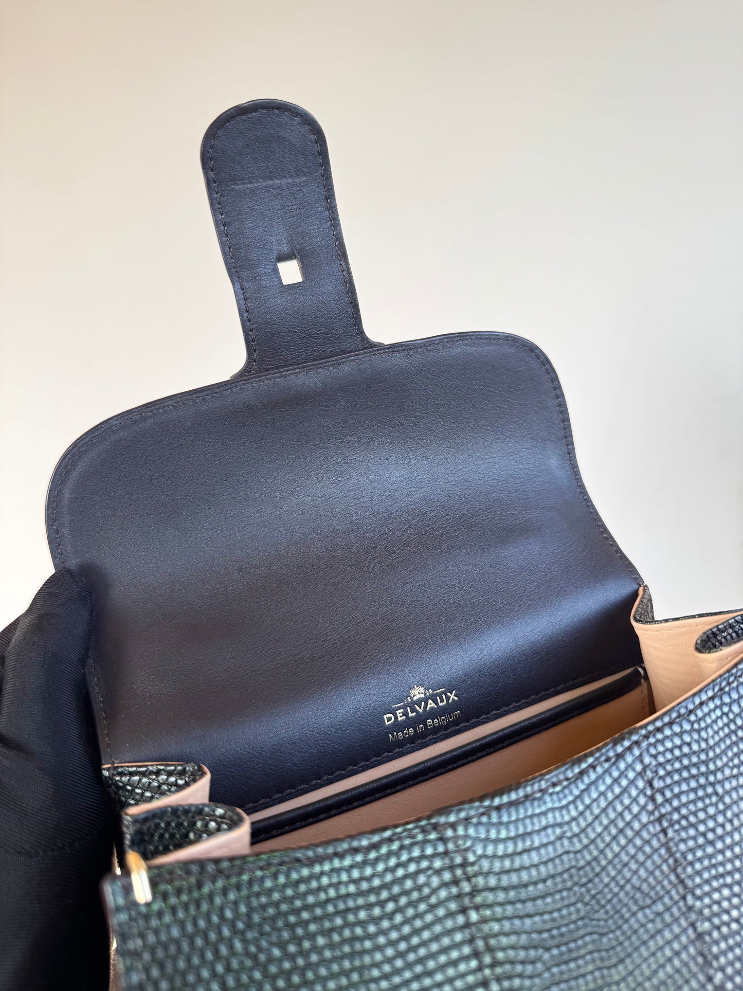 Pre-owned Delvaux Brillant Mini Metallic Dark Green Lizard Bag