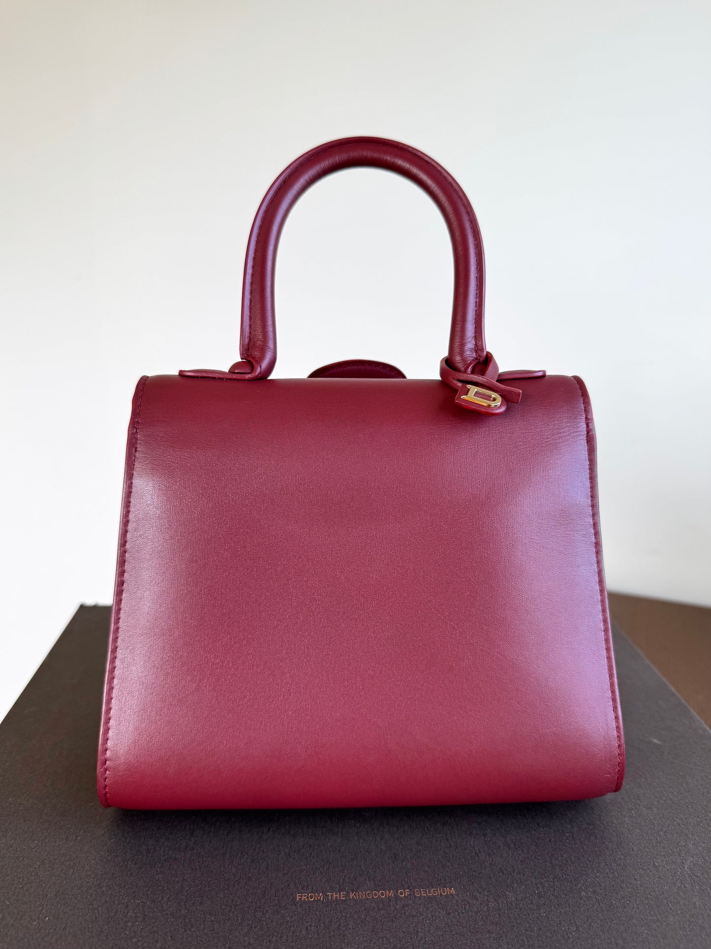 Pre-owned Delvaux Brillant Mini Burgundy Leather Bag
