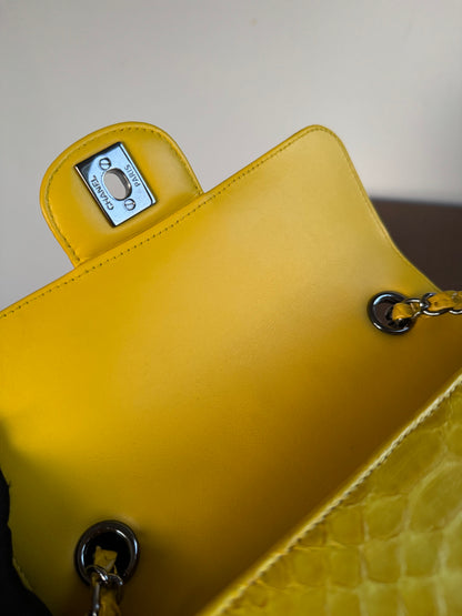 Pre-owned Chanel Timeless Mini Rectangle Yellow Python Flap Bag