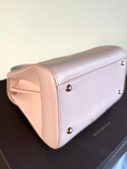 Pre-owned Delvaux Brillant Mini Light Rose Calfskin Bag