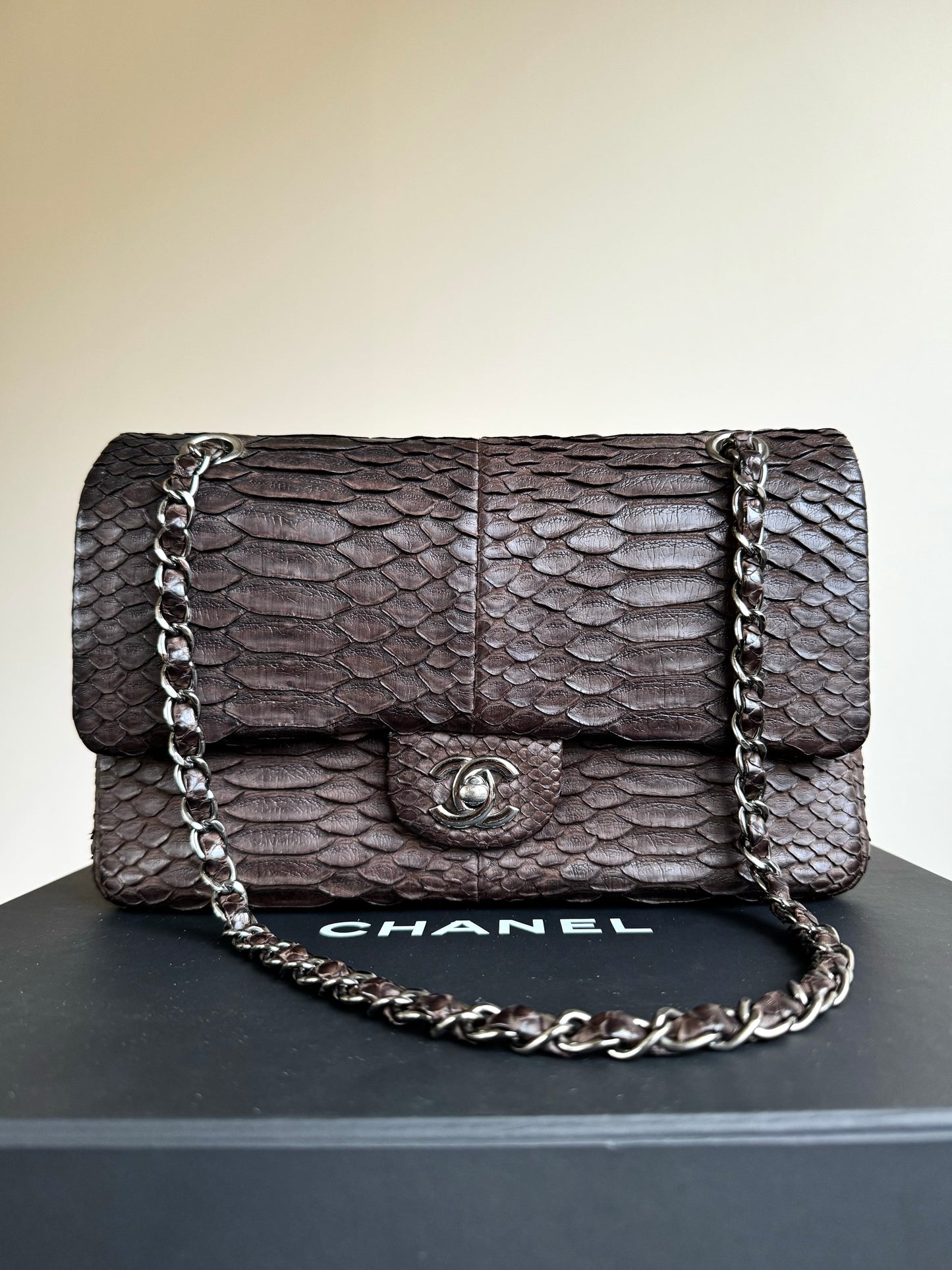 Pre-owned Chanel Timeless Classic Standard Python Flap Bag
