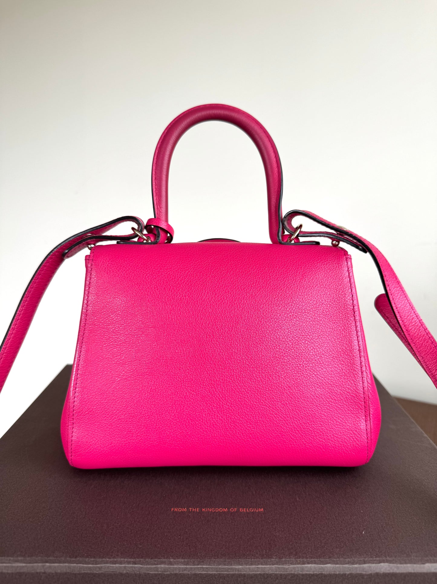 Pre-owned Delvaux Brillant Mini Indian Rose Leather Bag