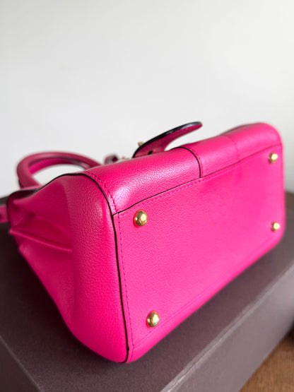 Pre-owned Delvaux Brillant Mini Indian Rose Leather Bag