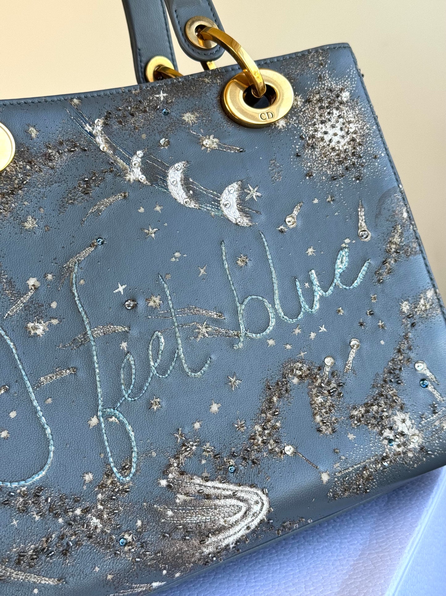 Pre-owned Dior Lady Dior Medium Grey Blue Embroidered Leather Bag