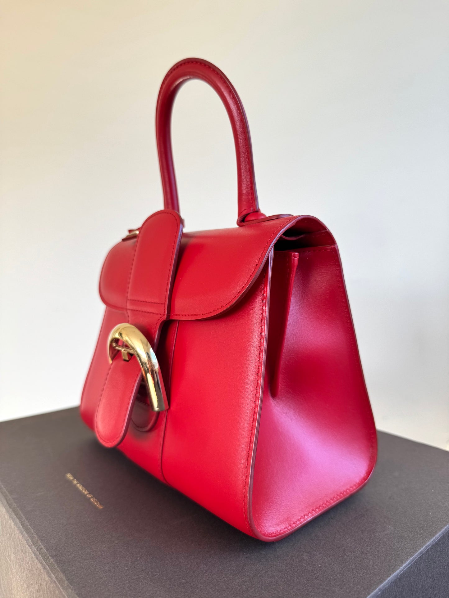 Pre-owned Delvaux Brillant Mini Red Box Calf Bag