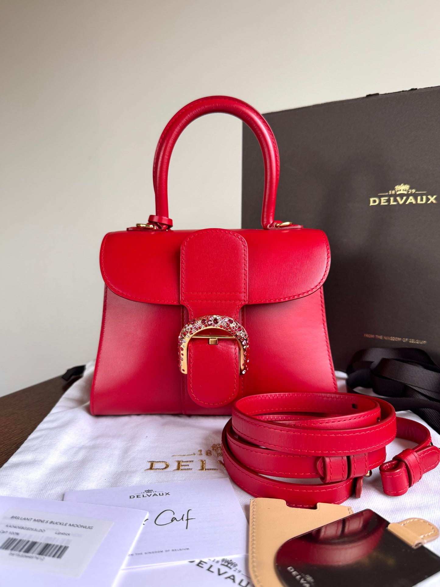 Pre-owned Delvaux Brillant Mini Swarovski Red Box Leather Bag Limited Edition