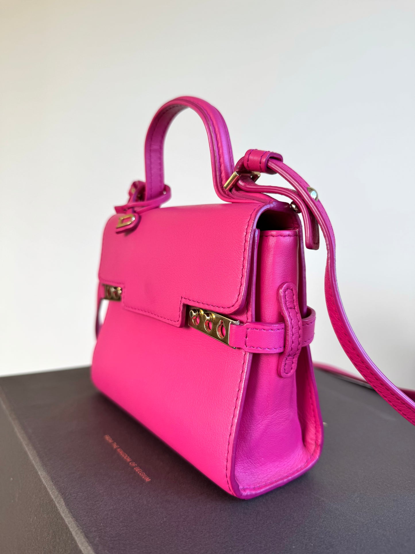 Pre-owned Delvaux Tempête Micro Pink Calfskin Bag